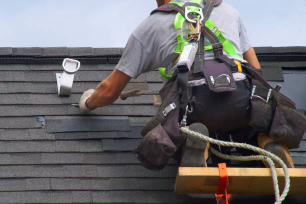 Best Storm Damage Roof Repair  in West Belmar, NJ