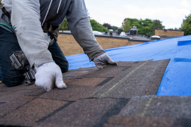 Best Roof Gutter Cleaning  in West Belmar, NJ